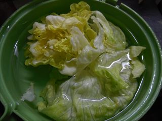 lettuce.JPG